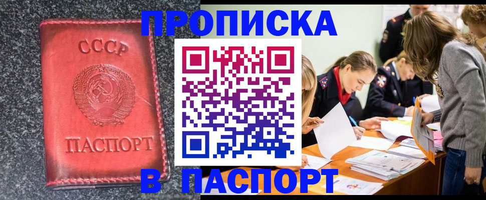 прописка для школы в Шилке
